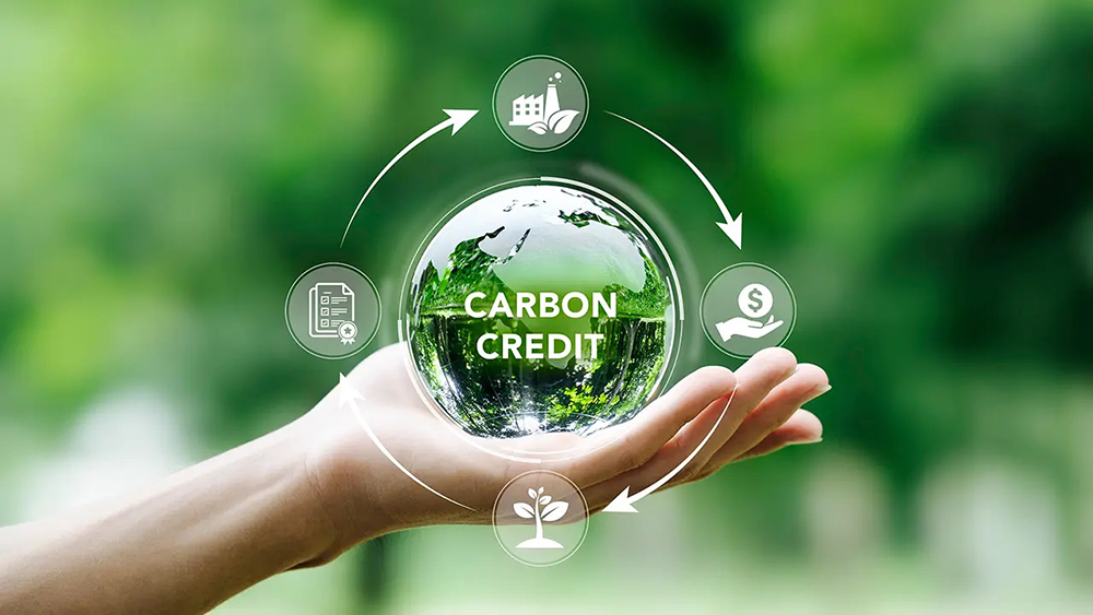 Carbon Credits