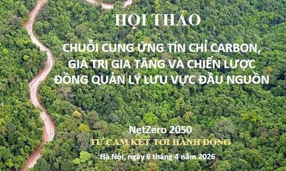 Bàn giải pháp phát triển thị trường các-bon