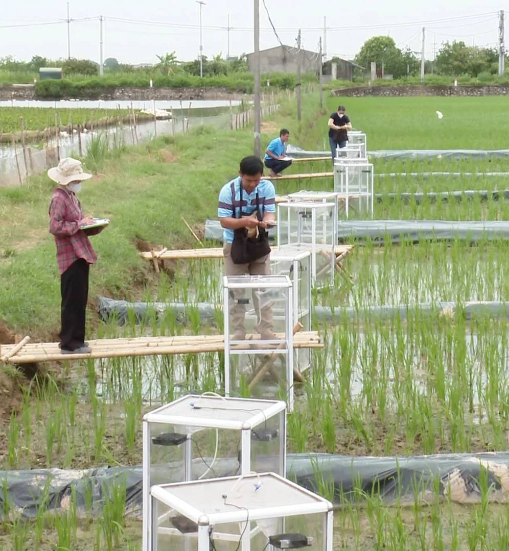 Chiến lược Kinh tế Xanh