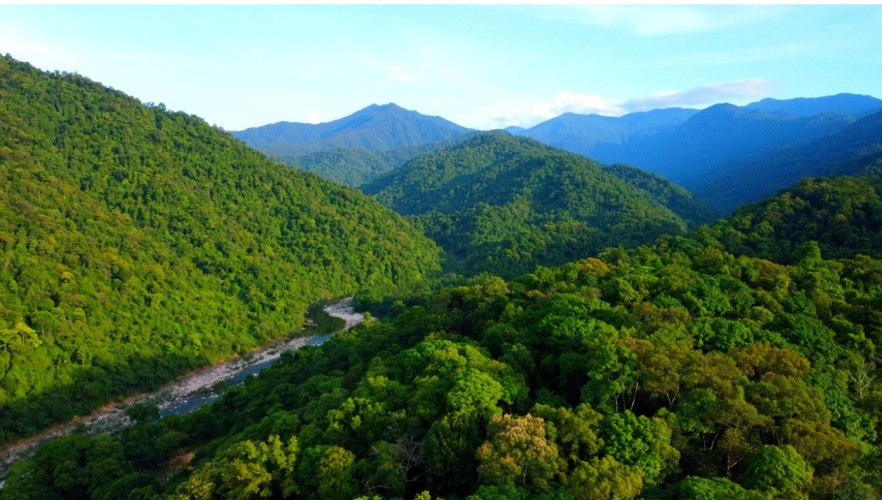 Carbon Credits